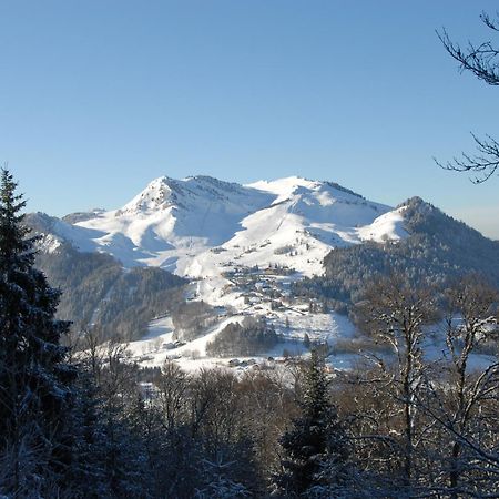Hotel Les Skieurs Bellevaux Luaran gambar