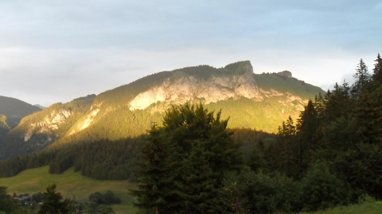 Hotel Les Skieurs Bellevaux Luaran gambar